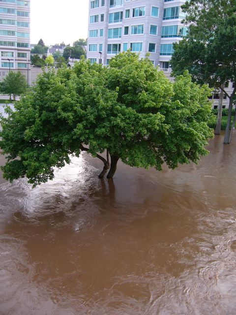 P1000385.jpg
